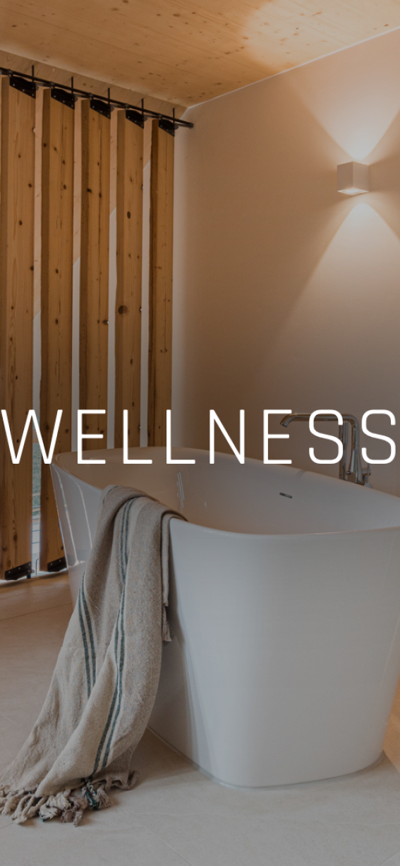 Header Wellness