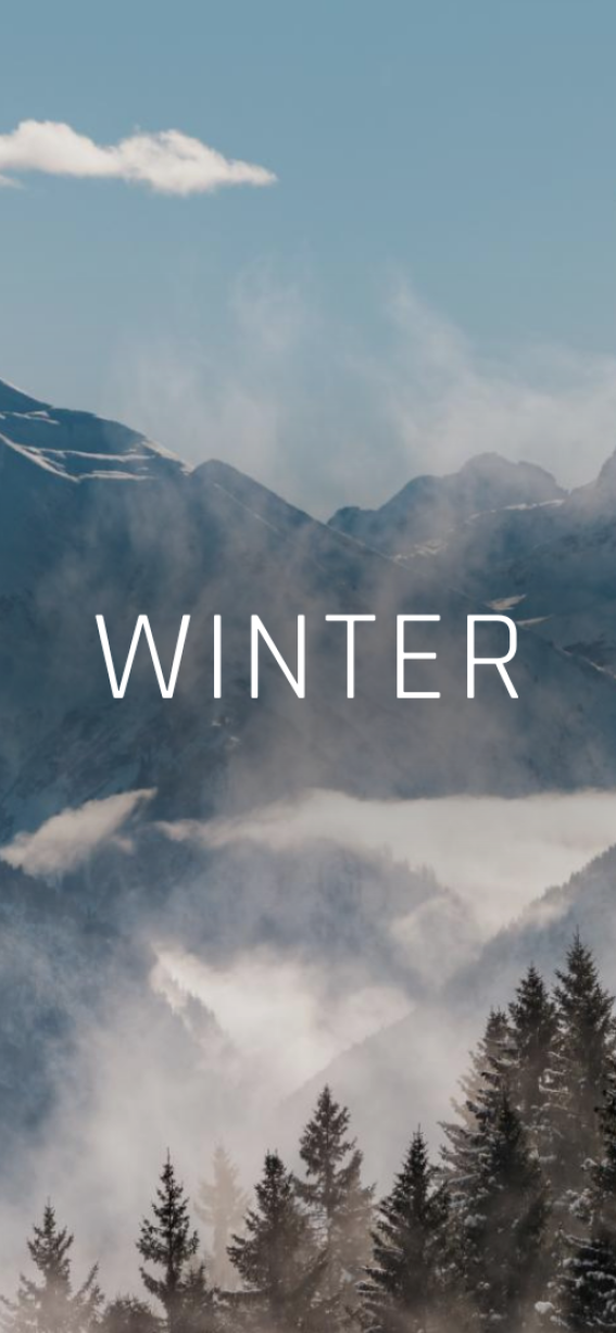 Header Winter