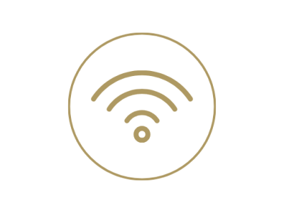 Icon Wlan