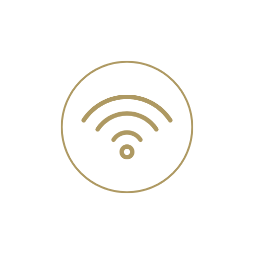 Icon Wlan