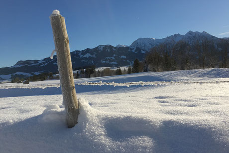 Winterland