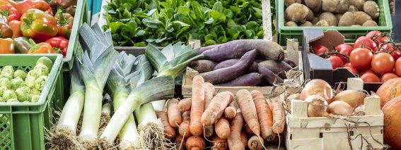 Gemuesevielfalt IMG 0010 0013 VIS