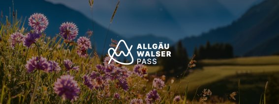 Allgaeu-walser-pass-header-02