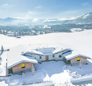 Newsletter Header Winter