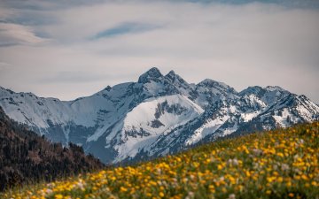 Frühling im Allgäu