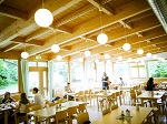 Der Wintergarten