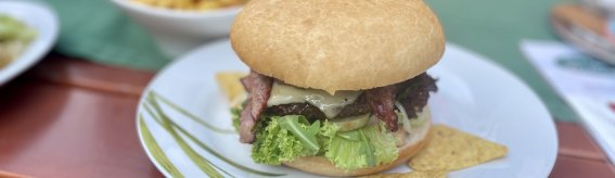 Aqua Nova Burger Spezial mit Pommes