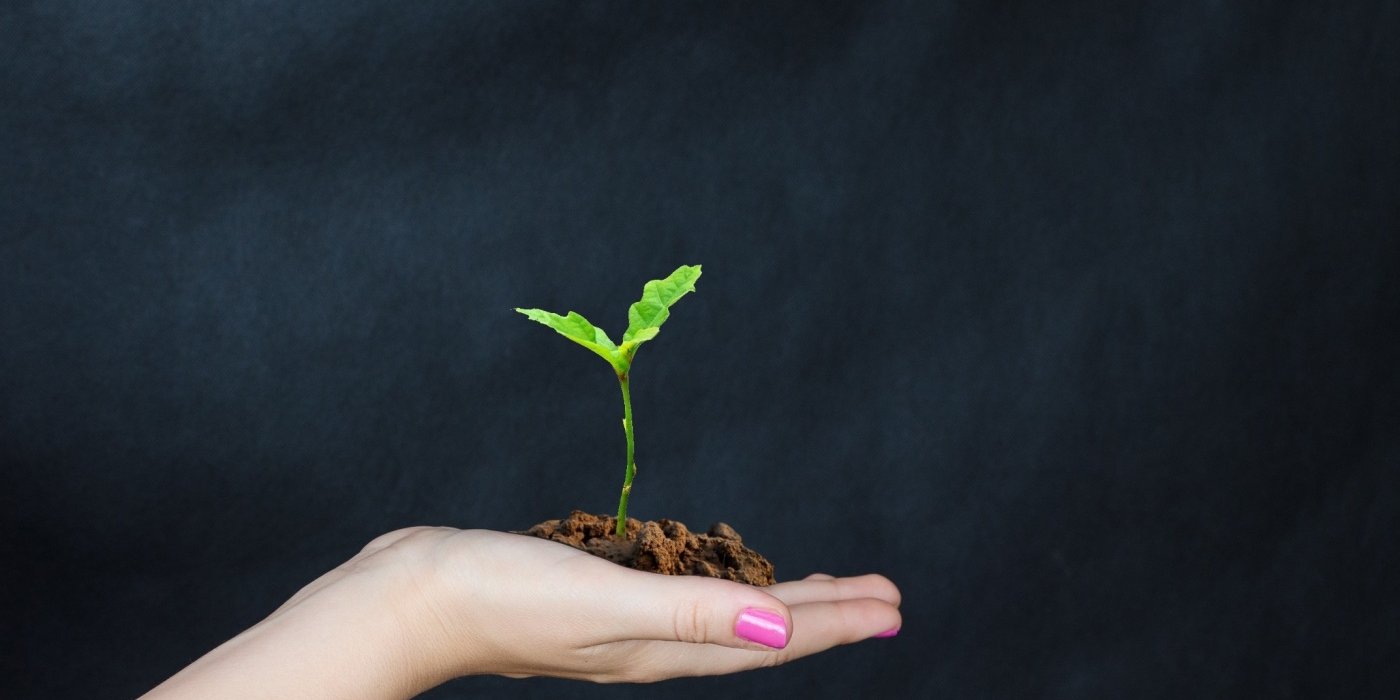 © Tumisu pixabay.com