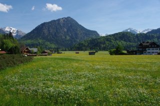 Sommerausblick nach Süden