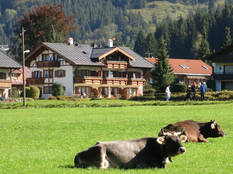Idyllisch gelegen-Haus Edelraute
