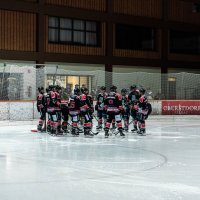 Teambesprechung der Eisbären