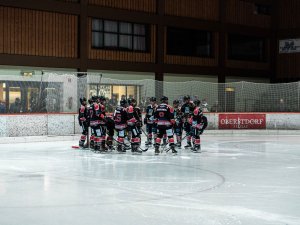 Teambesprechung der Eisbären