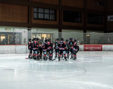 Teambesprechung der Eisbären
