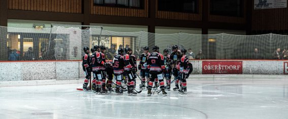 Teambesprechung der Eisbären