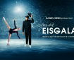 Banner Eisgala
