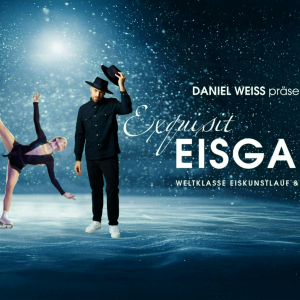Banner Eisgala