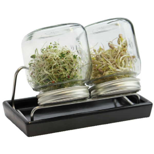 Eschenfelder sprossenglas system-II-750-anthrazit