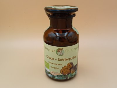 Vitalpilze_Chiemsee_Chaga_Schillerporling