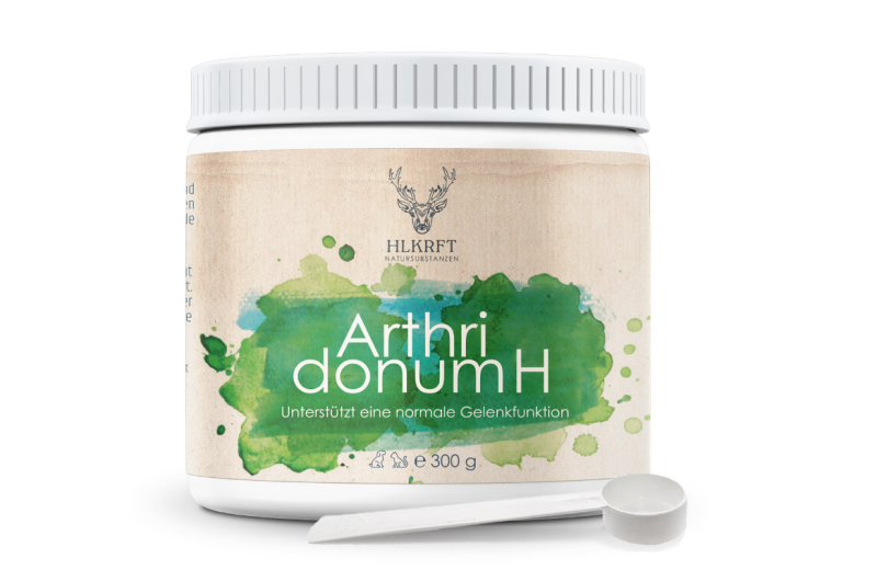 Heilkraft Arthridonum H