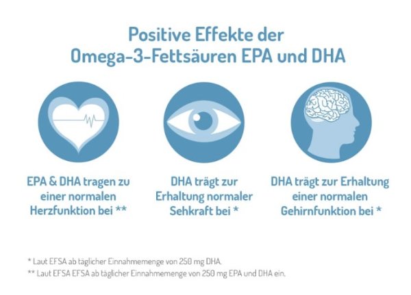 NORSAN Grafik Positive Effekte