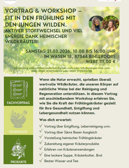 Bild Vortrag jungen Wilden