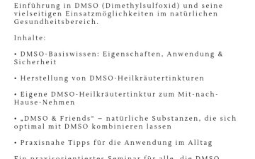 DMSOVortrag