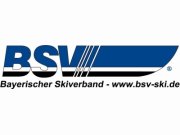 Bsv logo