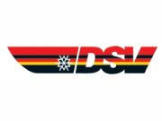 Dsv logo