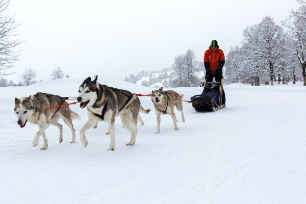 Nordic Day 2017