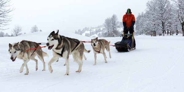 Nordic Day 2017