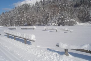 Nordic Landschaft Ried Nordic Landschaft Ried