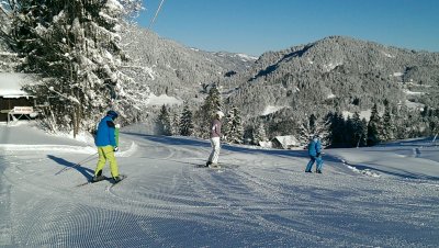 Ski Alpin Privat