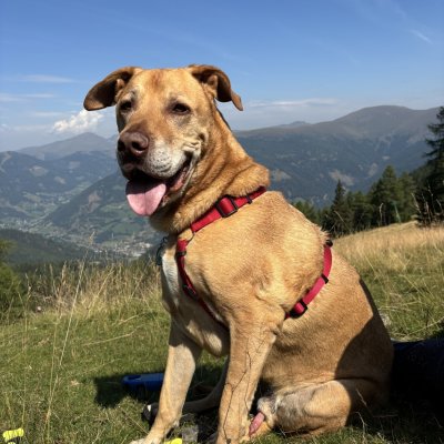 Balu