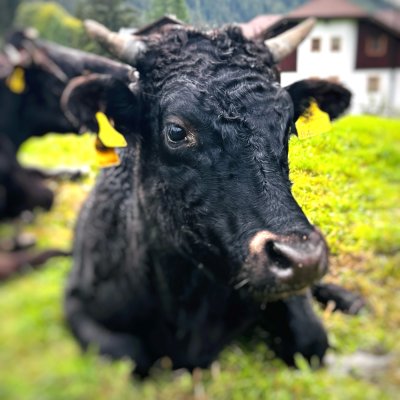 Bad Kleinkirchheim