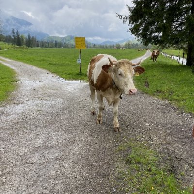 Unterwegs bei Regen