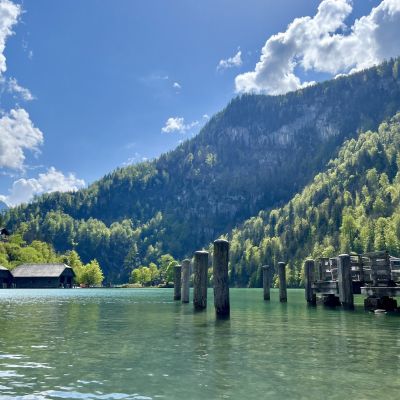 Am Ufer 🦆🏔️