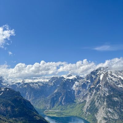 Auf dem jenner 🏔️