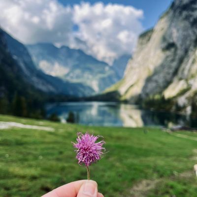 Königssee - Fischunkelalm am Obersee 💚