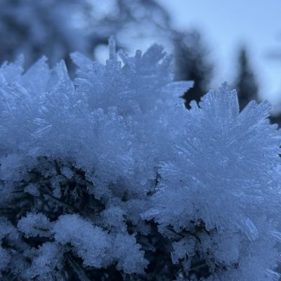 Auf dem Weg zur Hängebrücke Klausbachtal