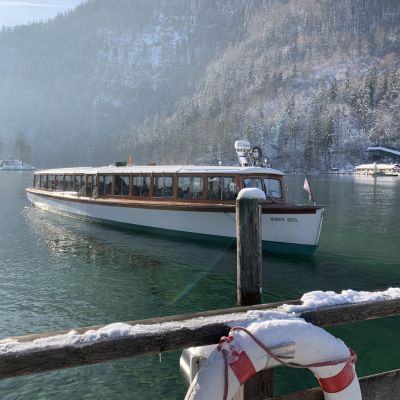 Neujahrsmorgen am See💚