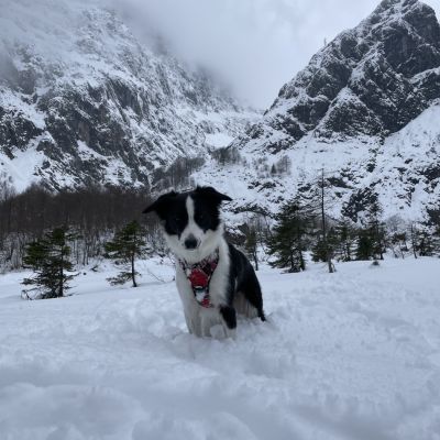 Eiskapelle ❄️🐶