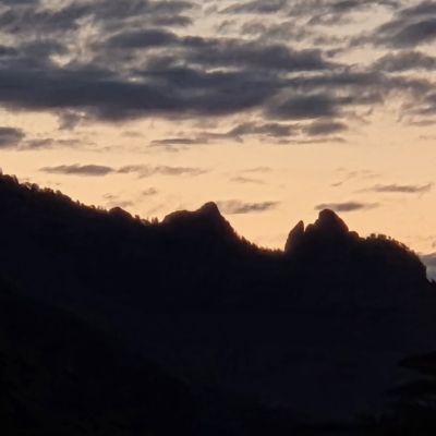 Die Hexe