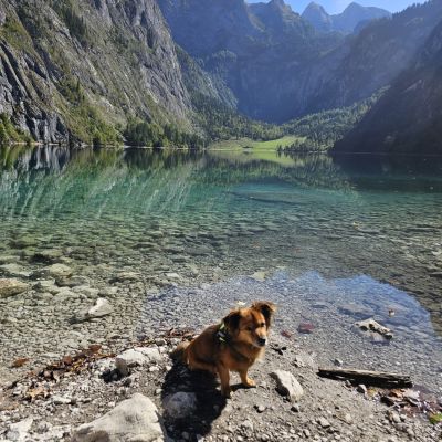 Obersee