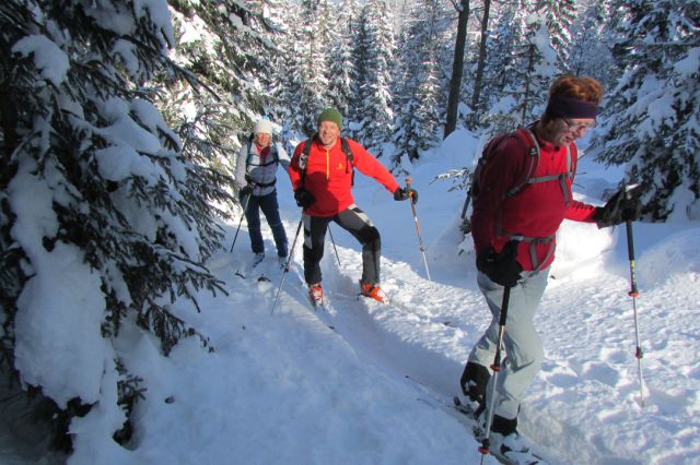 Schritt für Schritt durch den Wald mit den Skiern