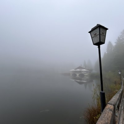 Vormittags am Pflegersee