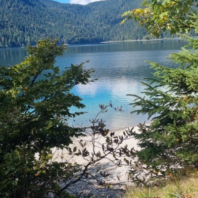 Der Spaziergang um den Eibsee ist bereits Tradition.....