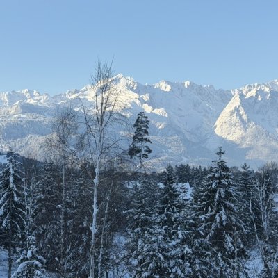 Morgendlicher Blick aus dem Zimmer …