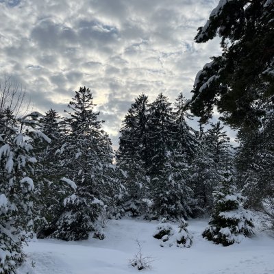 Winter-Wonder-Länd 🫣