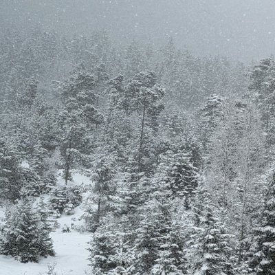 Der Winter ist zurück … 🌨️