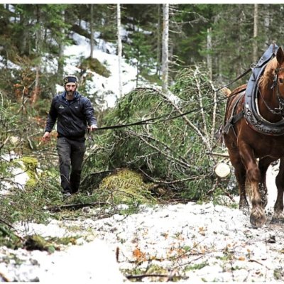 Zwischen Elmau und Ferchensee